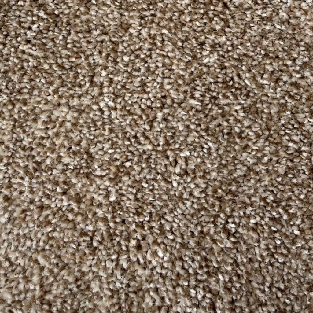 carpet