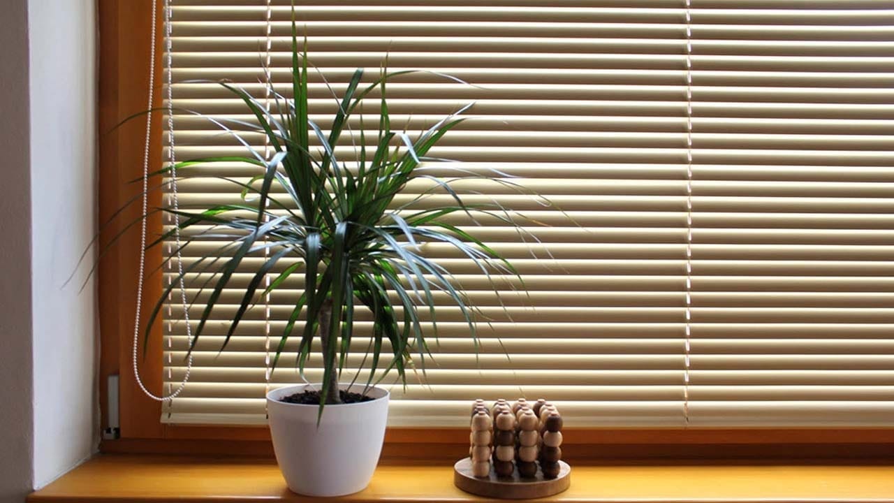 why removing venetian blinds